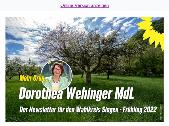 Newsletter Dorothea Wehinger MdL
